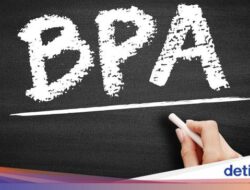 Studi Sebut Dampak Buruk BPA Di Kesejaganan Metabolik Manusia