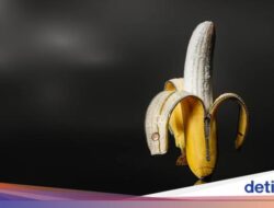 Seberapa Sering Pria Harus Keluarkan Sperma Di Seminggu?