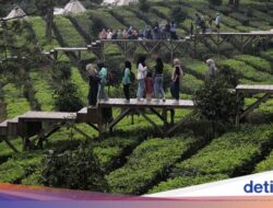 Vila Terdingin Hingga Puncak Bogor