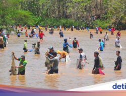 Melihat Keseruan Kebiasaan Menyita Ikan Di Grobogan