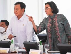 Rincian APBN 2025 Ke Tahun Pertama Prabowo, Pendapatan Negeri Ditarget Rp3.005,1 Triliun