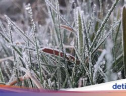 Suhu Capai 1,7 Celcius, Embun Es Kembali Muncul Di Dieng