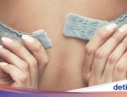 Fakta-fakta No Bra Day 13 Oktober, Sejarah Hingga Kontroversinya