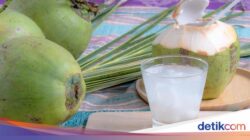 5 Manfaat Minum Air Kelapa Setiap Hari, Ini yang Akansegera Terjadi Ke Tubuh