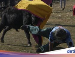 Melihat Perayaan Seni Adu Banteng Terbesar Di Bolivia