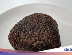 Istimewa! Onigiri Ini Dibalut Miso Berusia 20 Tahun dan Dijual per Buah Rp 211.000