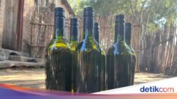 Unik! Bukan Bersama Anggur, Wine Ini Dibuat Bersama Pisang