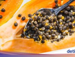 Biji Pepaya Ternyata Bisa Dimakan, Ini Manfaatnya Untuk Keadaan