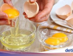 5 Manfaat Putih Telur Sebagai Keadaan, Betulan Manjur Pangkas BB Di Asupan Konsumsi?