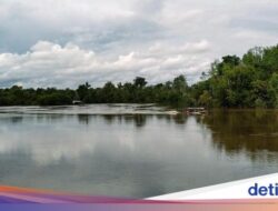 Menyelami Kearifan Lokal Dunia Suku Dayak dan Bertemu Orang Utan Hingga Sei Gohong