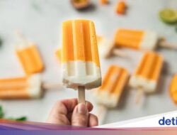 Jangan Dipantang! Es Loli Justru Baik Dikonsumsi Di Flu dan Pilek