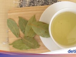 Efek Di Terlalu Banyak Minum Air Rebusan Daun Salam, Termasuk Diare