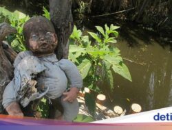 Penampakan Horor Pulau Boneka Di Meksiko, Menyeramkan tapi Bikin Penasaran