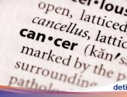 BPOM AS Bakal Larang Bahan Hidangan Ini Sebab Potensi Picu Tumor-Kanker