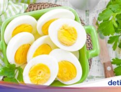 Segini Kalori Satu Telur Rebus, Apakah Bagus Bagi Asupan Minuman?