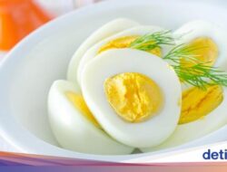 8 Manfaat Makan Telur Rebus Untuk Tubuh, Bantu Turunkan Berat Badan