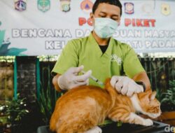 Antisipasi Rabies, Ribuan Hewan Peliharaan Di Jaksel Divaksin Gratis