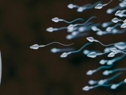 Viral Lomba Balap Sperma Di AS, Gimana Cara Bikin Sperma Sehat dan Kuat?