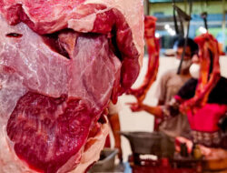 Ketiga Bangsa Ini Memproduksi Daging Sapi Terbanyak Ke Dunia
