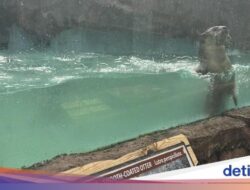 Libur Sekolah Bikin Lupa Pelajaran? Saatnya Eduwisata
