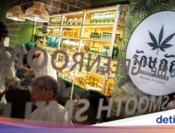 Ganja Tak Lagi Bebas, Toko-Toko Ke Thailand Bersiap Merugi