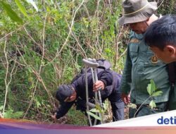 Mati Terjerat Kawat Di Garut
