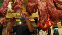 Cara Simpan Daging Di Freezer agar Tetap Segar, Tips Didalam Guru Besar IPB