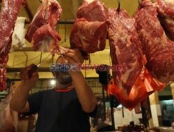 Cara Simpan Daging Di Freezer agar Tetap Segar, Tips Didalam Guru Besar IPB