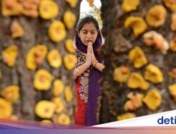 Kearifan Lokal Unik Hingga India, Pecahkan Kelapa Bersama Kepala