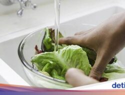 5 Tips Mudah Hilangkan Pestisida agar Sayuran Aman Dimakan