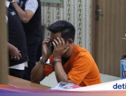 Pelaku Pelecehan Di Pesawat Ternyata Lulusan Kedokteran Hewan, Apa Motifnya?