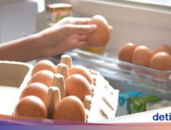 Jangan Simpan 5 Konsumsi Ini Hingga Pintu Kulkas, Kualitasnya Bisa Menurun