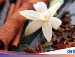 Terkuak, Kebiasaan Perawatan Sakral dan Unik Dayak Golik, Diwariskan Lewat Mimpi