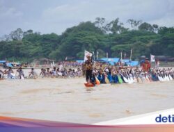 Hotel-Wisma Hingga Kuansing Habis Dipesan Sebagai Perayaan Seni Pacu Jalur