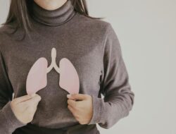 Memahami Lebih Di Fungsi Organ Pernapasan Manusia, Di Hidung sampai Paru-paru