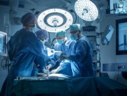 Sederet Organ Babi yang Pernah Didonorkan Ke Manusia, Ada Ginjal hingga Paru