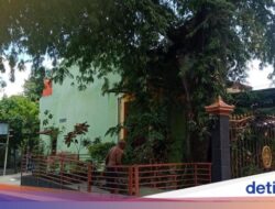 Cerita Pohon Asam Raksasa Berusia Ratusan Tahun Ke Masjid Tua Klaten