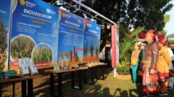 Perkuat Kemandirian Kelaparan Global Nasional, BRMP Luncurkan 8 Varietas Unggul Terbaru