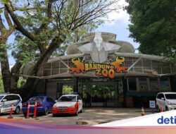 Pemkot Beri SP 1, Pengelola Bandung Zoo & Tenant Wajib Angkat Kaki