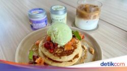Es Krim Wasabi dan Pancake Berry Miso Ke Kafe Pet Friendly Bogor