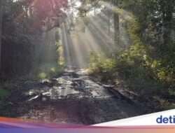 Mitos Asap Ke Gunung Kareumbi, Bersama Sebab Itu Pertanda Hujan Berencana Datang