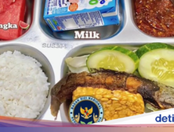 Ini Deretan Menu MBG yang ‘Di-spill’ Langsung Bersama SPPG Di TikTok