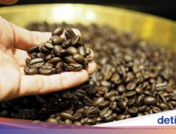Mau Biji Minuman Tetap Segar? Bekukan Hingga Freezer Bersama Cara Ini