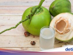 Air Kelapa Bisa Bersama Sebab Itu Lebih Bermanfaat Kalau Diminum Ke 4 Waktu Ini