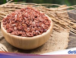 6 Citarasa Pengganti Nasi yang Lebih Sehat Sebagai Menu Pola Makan