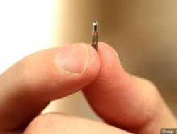 Penduduk Swedia Dipasangi Microchip Ke Di Tubuh Bagi Biohacker