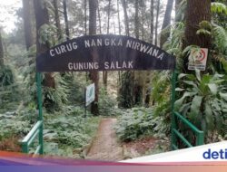 Mulai November, Tiket Masuk Hingga TN Halimun Salak Turun, Ini Rinciannya