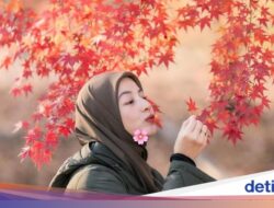 Potret Cantiknya Natasha Rizky Cs Liburan Ke Korea Selatan