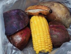 Lagi Gaya Rebusan-Kukusan, Sehat Mana dibanding Nasi Uduk? Ini Kata Ahli Kepuasan Gizi