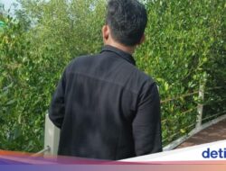 Wisata Alam Ketapang Mauk, Sang Penjaga Ekosistem Bakau